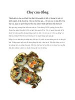 Chợ cua đồng potx