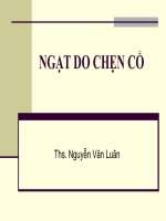 Ngạt do chẹn cổ docx
