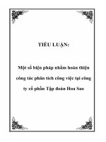 TIỂU LUẬN: Một số biện pháp nhằm hoàn thiện công tác phân tích công việc tại công ty cổ phần Tập đoàn Hoa Sao pdf