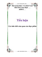 tiểu luận các tính chất cảm quan của thực phẩm