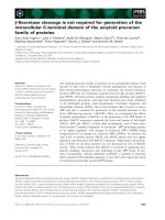 Báo cáo khoa học: b-Secretase cleavage is not required for generation of the intracellular C-terminal domain of the amyloid precursor family of proteins pot