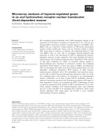 Báo cáo khoa học: Microarray analyses of hypoxia-regulated genes in an aryl hydrocarbon receptor nuclear translocator (Arnt)-dependent manner ppt