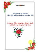 Đề tài :Groupon (Mua hàng theo nhóm) và các mô hình ứng dụng tại Việt Nam pptx