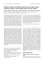 Báo cáo khoa học: Molecular cloning and functional expression of the human sodium channel b1B subunit, a novel splicing variant of the b1 subunit potx