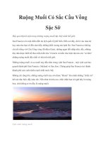 Ruộng Muối Có Sắc Cầu Vồng Sặc Sỡ ppt