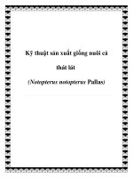 Kỹ thuật sản xuất giống nuôi cá thát lát (Notopterus notopterus Pallas) doc
