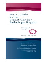 Your Guide to the Breast Cancer Pathology Report pptx