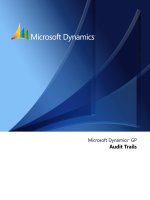 Microsoft Dynamics™ GP Audit Trails pptx
