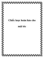 Chiếc lược hoàn hảo cho mái tóc pptx