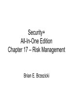 Chapter 17 – Risk Management doc