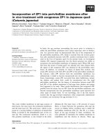 Báo cáo khoa học: Incorporation of ZP1 into perivitelline membrane after in vivo treatment with exogenous ZP1 in Japanese quail (Coturnix japonica) doc