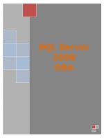 SQL Server 2008 DBA pot