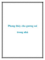 Phong thủy cho gương soi trong nhà docx