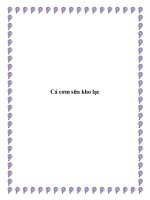 Cá cơm sữa kho lạc pptx