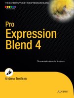 Pro Expression Blend 4 pptx