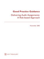 Good Practice Guidance Delivering Audit Assignments: A Risk-based Approach potx