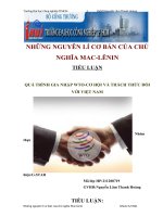 ĐỀ TÀI: QUÁ TRÌNH GIA NHẬP WTO-CƠ HỘI VÀ THÁCH THỨC ĐỐI VỚI VIỆT NAM pot