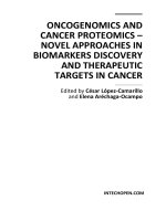 ONCOGENOMICS AND CANCER PROTEOMICS – NOVEL APPROACHES IN BIOMARKERS DISCOVERY AND THERAPEUTIC TARGETS IN CANCER pot