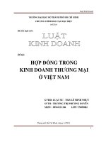 Đề tài hợp đồng kinh doanh thương mại ở việt nam