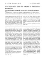 Báo cáo khoa học: A new rice zinc-ﬁnger protein binds to the O2S box of the a-amylase gene promoter pptx