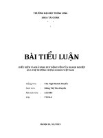 BÀI TIỂU LUẬN: ĐIỀU KIỆN VÀ KHẢ NĂNG HUY ĐỘNG VỐN CỦA DOANH NGHIỆP QUA THỊ TRƯỜNG CHỨNG KHOÁN VIỆT NAM pptx