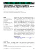 Báo cáo khoa học: Structural stability of the cofactor binding site in Escherichia coli serine hydroxymethyltransferase – the role of evolutionarily conserved hydrophobic contacts potx