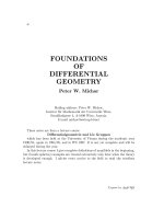 foundations differential geometry  - michor