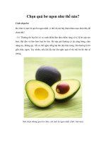 Chọn quả bơ ngon như thế nào? pdf
