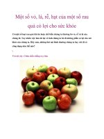 Một số vỏ, lá, rễ, hạt của một số rau quả có lợi cho sức khỏe pptx