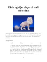 Kinh nghiệm chọn và nuôi mèo cảnh pptx