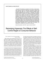 Remedying Hyperopia: The Effects of Self- Control Regret on Consumer Behavior pptx
