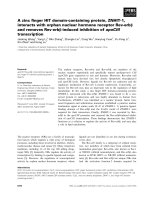 Báo cáo khoa học: A zinc ﬁnger HIT domain-containing protein, ZNHIT-1, interacts with orphan nuclear hormone receptor Rev-erbb and removes Rev-erbb-induced inhibition of apoCIII transcription potx