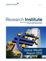 GLOBAL WEALTH REPORT 2012 ppt