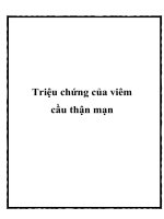 Triệu chứng của viêm cầu thận mạn pot