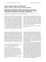 Báo cáo khoa học: Genomic structure, promoter analysis and functional mutation pptx