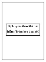 Dịch vụ ăn theo Mũ bảo hiểm: Trăm hoa đua nở pdf