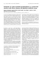 Báo cáo khoa học: Puriﬁcation of a plant nucleotide pyrophosphatase as a protein that interferes with nitrate reductase and glutamine synthetase assays pdf