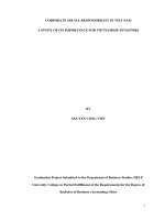 corporate social responsibility in viet nam a study of its importance for vietnamese investors