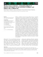 Báo cáo khoa học: Murine serum nucleases – contrasting effects of plasmin and heparin on the activities of DNase1 and DNase1-like 3 (DNase1l3) doc