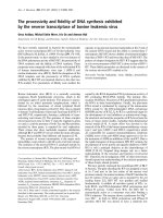 Báo cáo Y học: The processivity and ﬁdelity of DNA synthesis exhibited by the reverse transcriptase of bovine leukemia virus pot