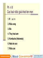 Các loại nước giải khát lên men pdf