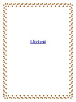 Lối rẽ trái potx