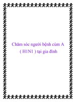 Chăm sóc người bệnh cúm A ( H1N1 ) tại gia đình pptx