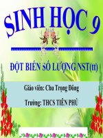Tiết 25: đột biến số lượng nhiễm sắc thể (tiếp) docx