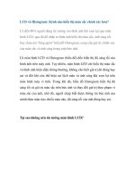 LCD và Histogram: Kênh nào hiển thị màu sắc chính xác hơn? pot