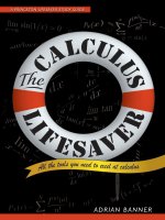 The Calculus Lifesaver: All the Tools You Need to Excel at Calculus - Adrian Banner