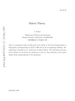 matrix theory - [jnl article] - t. banks