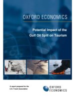 Potential Impact of the Gulf Oil Spill on Tourism pptx