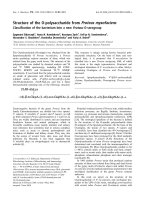 Báo cáo khoa học: Structure of the O-polysaccharide fromProteus myxofaciens Classification of the bacterium into a newProteusO-serogroup pptx