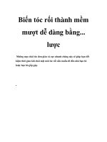 Biến tóc rối thành mềm mượt dễ dàng bằng... lược pdf